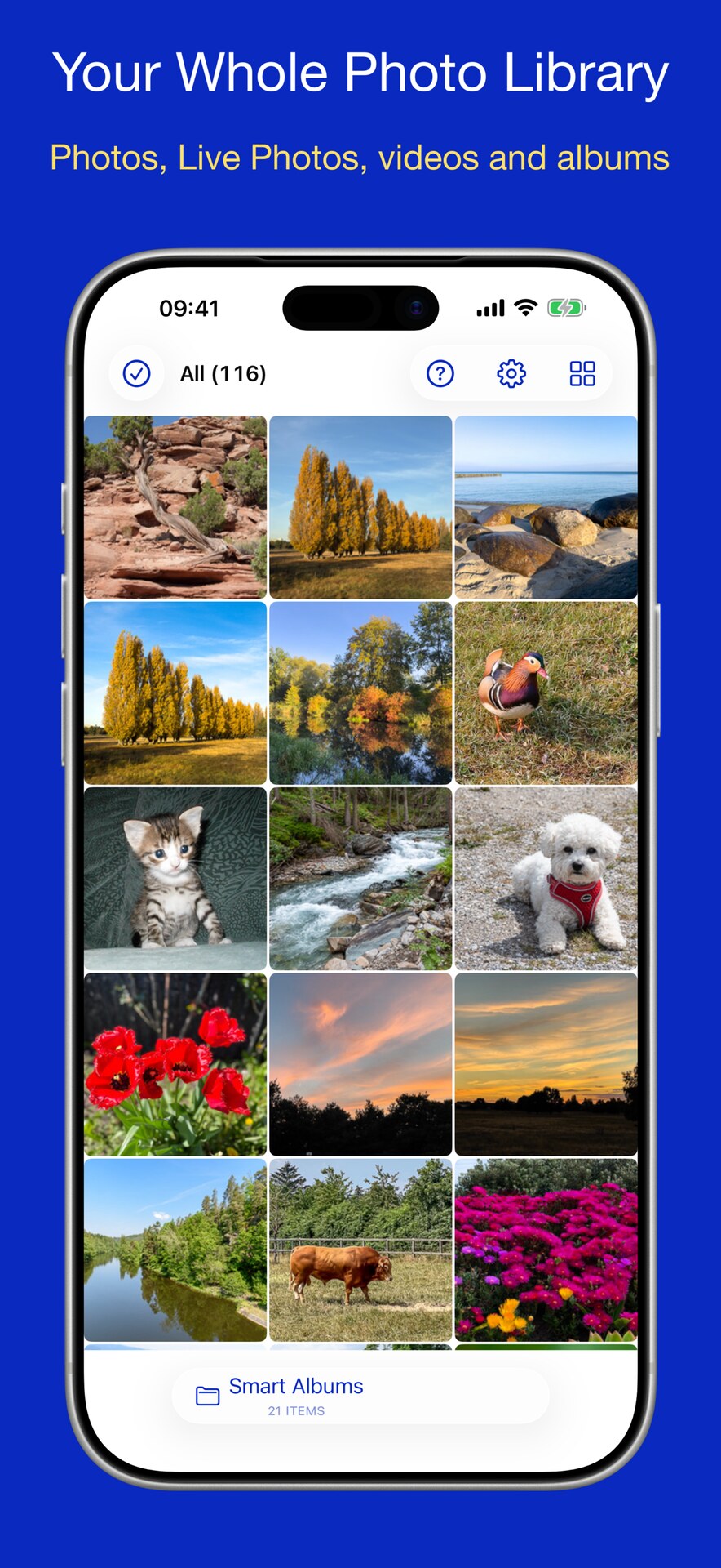 The gallery showing a thumbnail grid of the photo library
